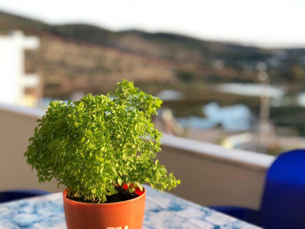 Green Garden Villa Ksamil Zewnętrze zdjęcie